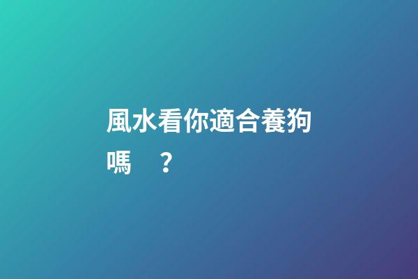 風水看你適合養狗嗎？